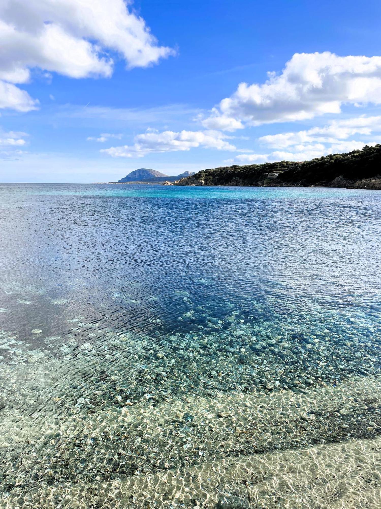 Splendida Vista Mare Zona Centrale Porto Rotondo Posto Auto Privato Exteriör bild